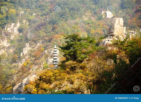 如何坐車去嶗山？嶗山之景，不僅僅是自然風光的饒富變化，更是歷史文化與現代交通方式完美結合的典範。